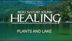 iReiki - Reiki Healing - Plants and Lake - 1Hour of Natural Healing and Relaxing Sound Recording