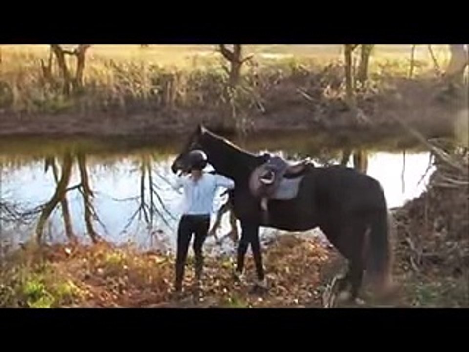 Horse Discovers that Splashing Water Of The  Stream Is Fun