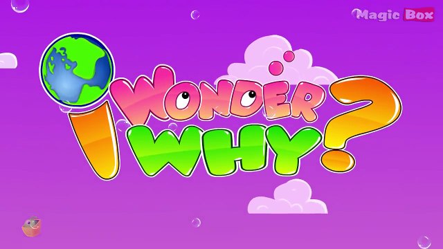 Why Do Fingers And Toes Wrinkle When Left In Water? - I Wonder Why - Amazing Fun Facts For Kids