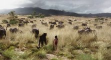 Disney's THE JUNGLE BOOK - TV Spot # 1 (2016)
