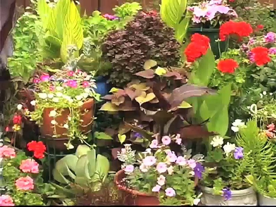 Using Containers on a Patio
