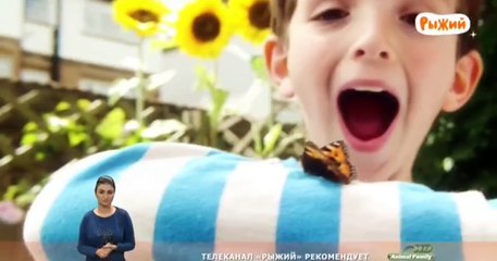 Топси и Тим - Наши шарики (Русский перевод. Сезон 2, серия 27)