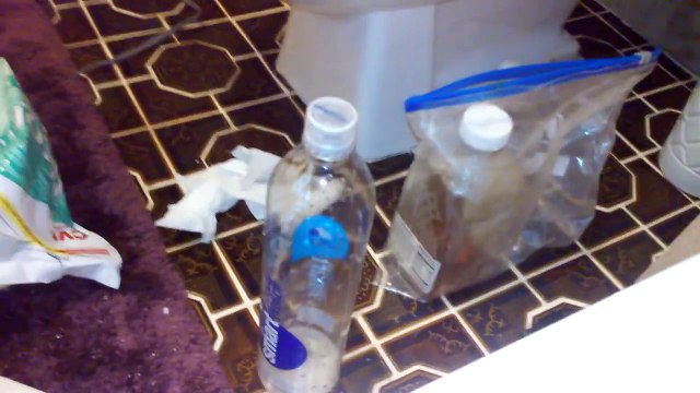 YIKES! Morgellons Parasite Bathtub Compilation.