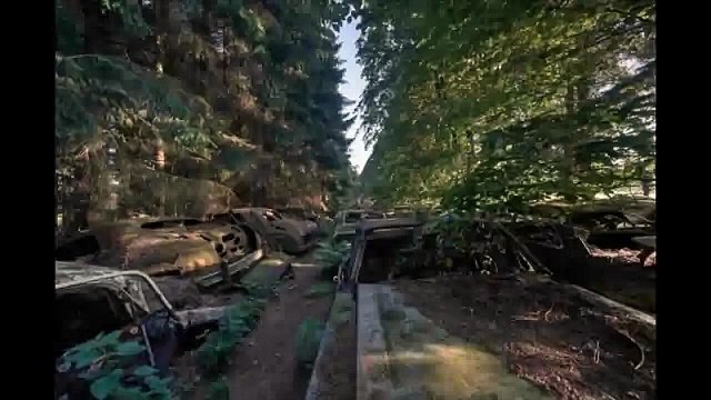 70 YEARS LONG TRAFFIC JAM DISCOVERED IN BELGIAN FOREST