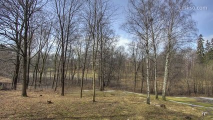 One year in 40 seconds