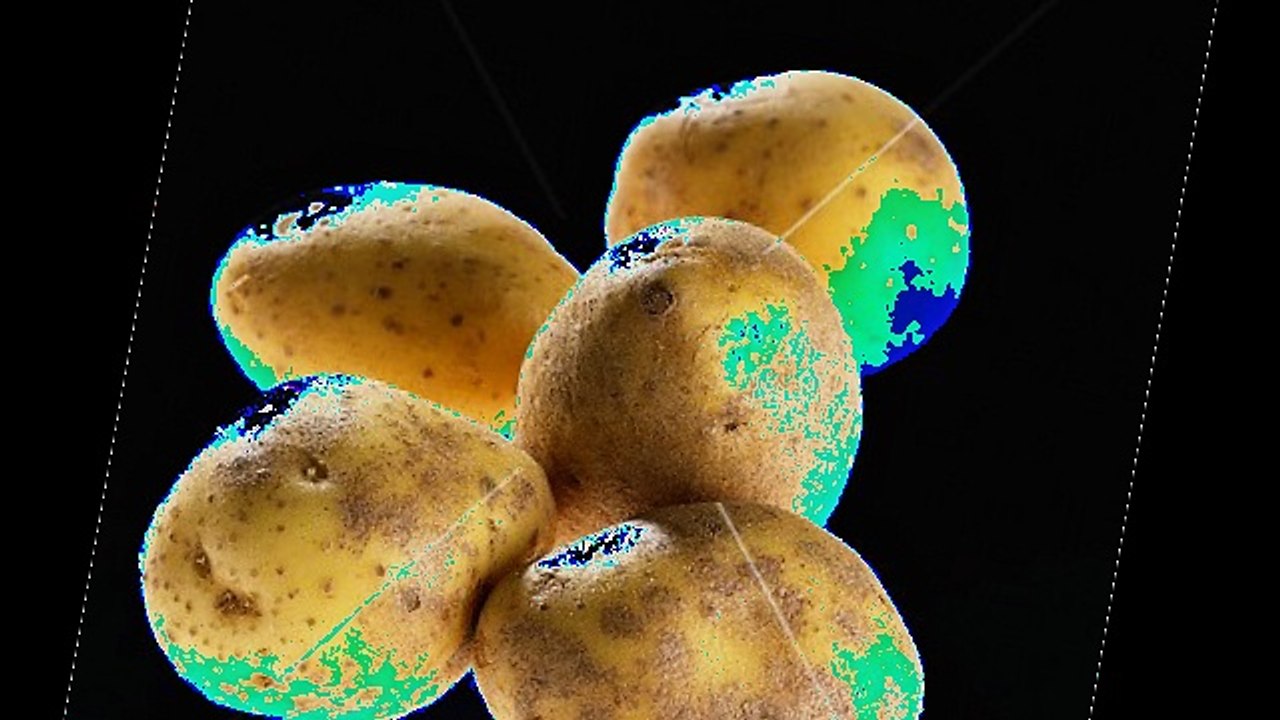 Martina hill - drei karotten mix