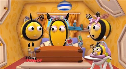 The Hive - Buzzbees Holiday