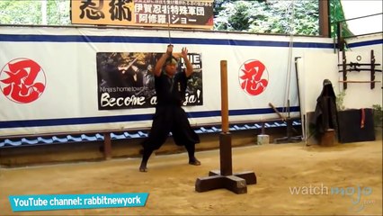 Top 5 Facts about Ninjas