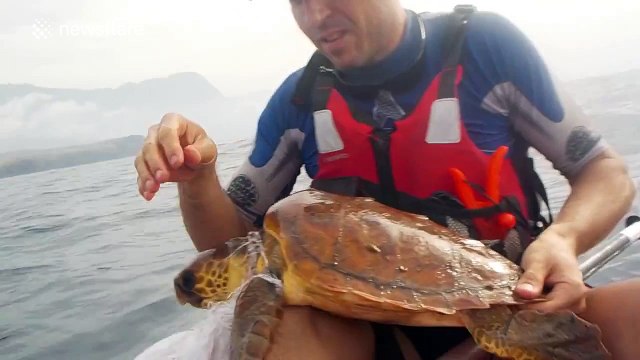 Sea kayakers rescue turtle in distress