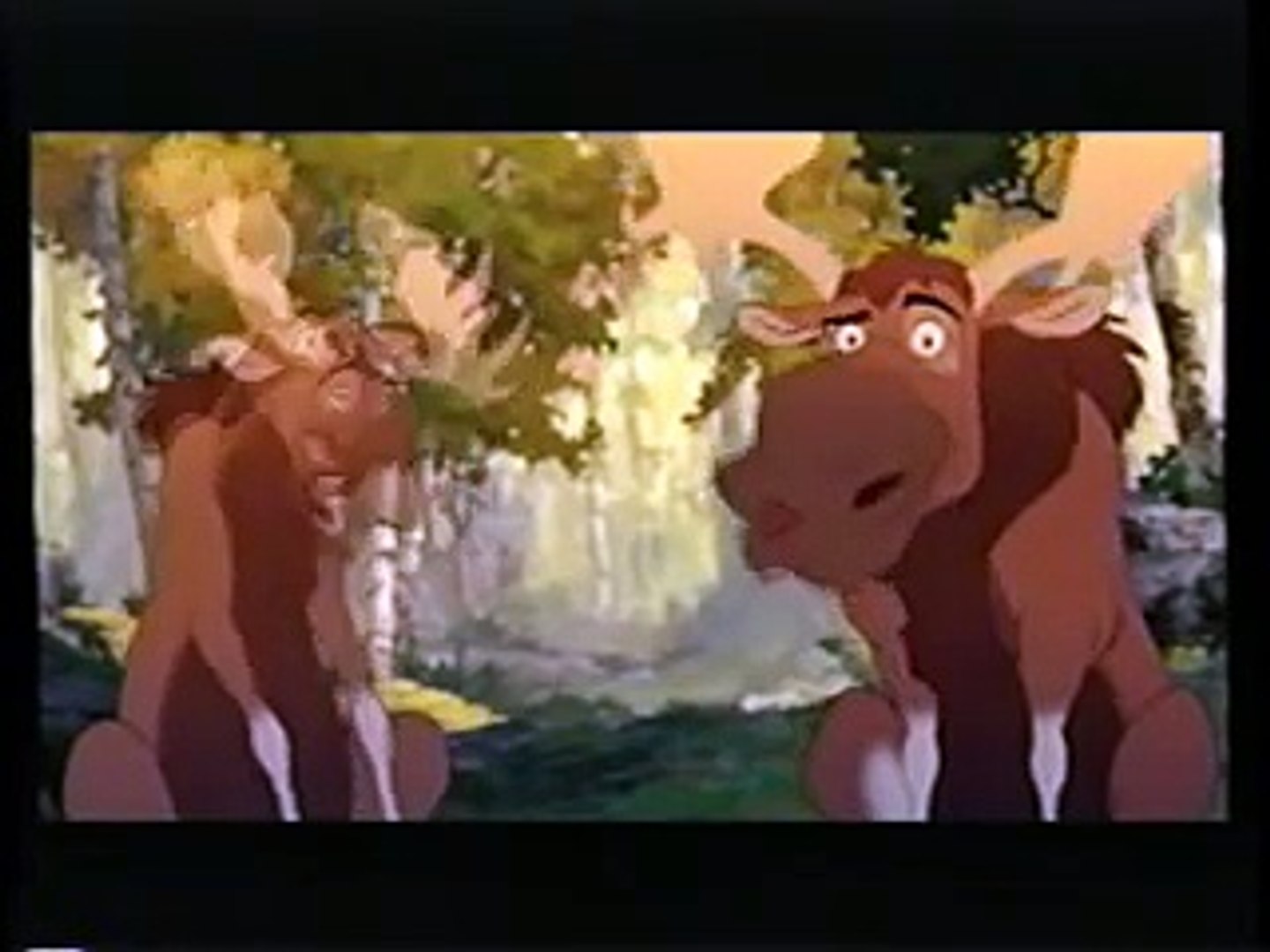 Opening To The Lion King Special Edition 03 Vhs Dailymotion Video