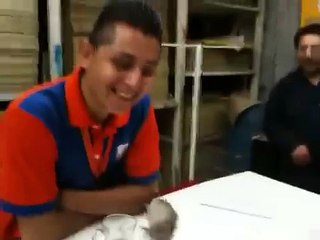 BROMAS PESADAS una rata en el desayuno