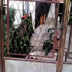 When The Pizza Finally Arrives! LOL!