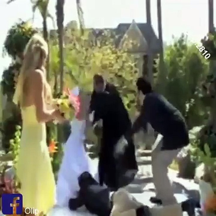 funny viral videos.mp4