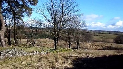 The Druids Graves, Cuff Hill, Beith