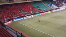 pohang steelers fans