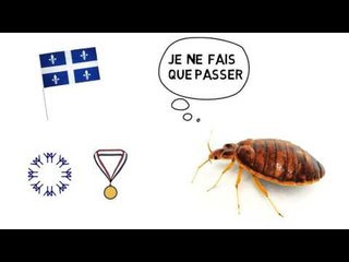 Les punaises de lit et la santé mentale