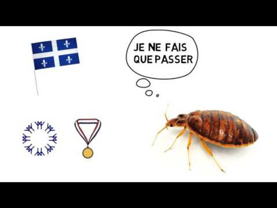 Les punaises de lit et la santé mentale