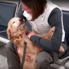 A dog is reunited with her master