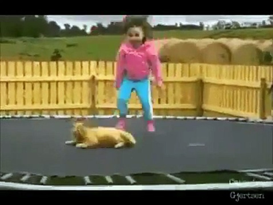 Zap De Spion Mini #3 (Funny Animals And Kids)