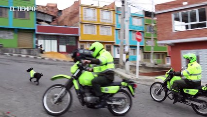 Самый храбрый офицер полиции