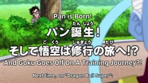 Would Goku Ever CHEAT On Chi-Chi? NO WAY! : Dragon Ball Super Episode 17 Predictions