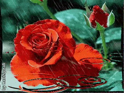 เกินจะคว้าคืน