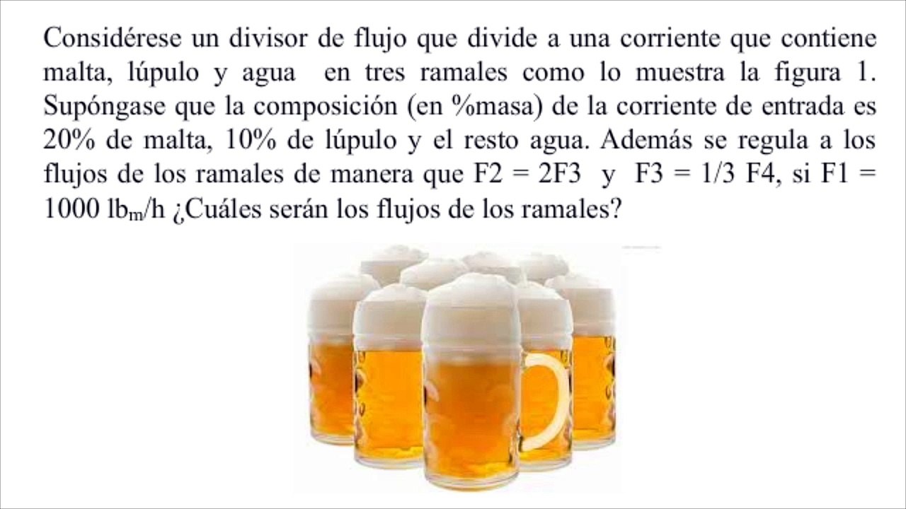 Balance de masas problema cerveza