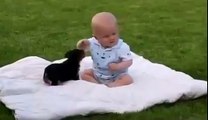 Video bayi lucu saat bermain dengan anjing peliharaannya