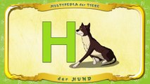 Multipedia der Tiere. Buchstabe H der Hund