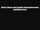 Download Worth a Detour: New Zealand's Unusual Attractions and Hidden Places Ebook