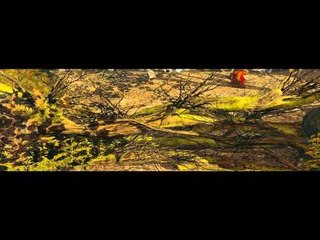 Lego Lord of the rings-killed by a Banana!