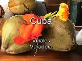 Cuba: Vinales and Varadero