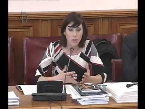 Roma - Diritti sociali e civili, audizione esperti (03.03.16)