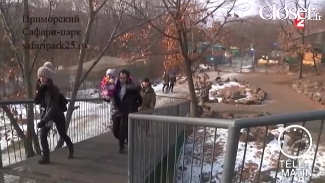 Zap Hebdo : Guy Bedos ferait bien une mise au poing avec Manuel Valls