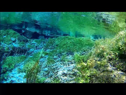 Sakaryabaşı Dalışı - İda Dalış Merkezi