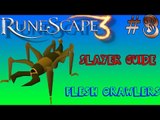 RuneScape 3 