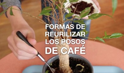 Cuatro ideas para aprovechar los posos del café