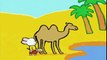 Chameau - Didou, dessine-moi un chameau |Dessins animés pour les enfants  Dessins Animés Pour Enfants