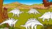 Les dinosaures à plaques osseuses - Dessin animé éducatif pour enfants  Dessins Animés Pour Enfants
