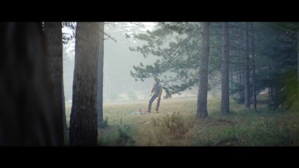 Comment couper un arbre rapidement ? Les tronçonneuses Stihl