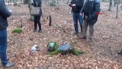İnegöl?deki Hayvan Katliamına Soruşturma