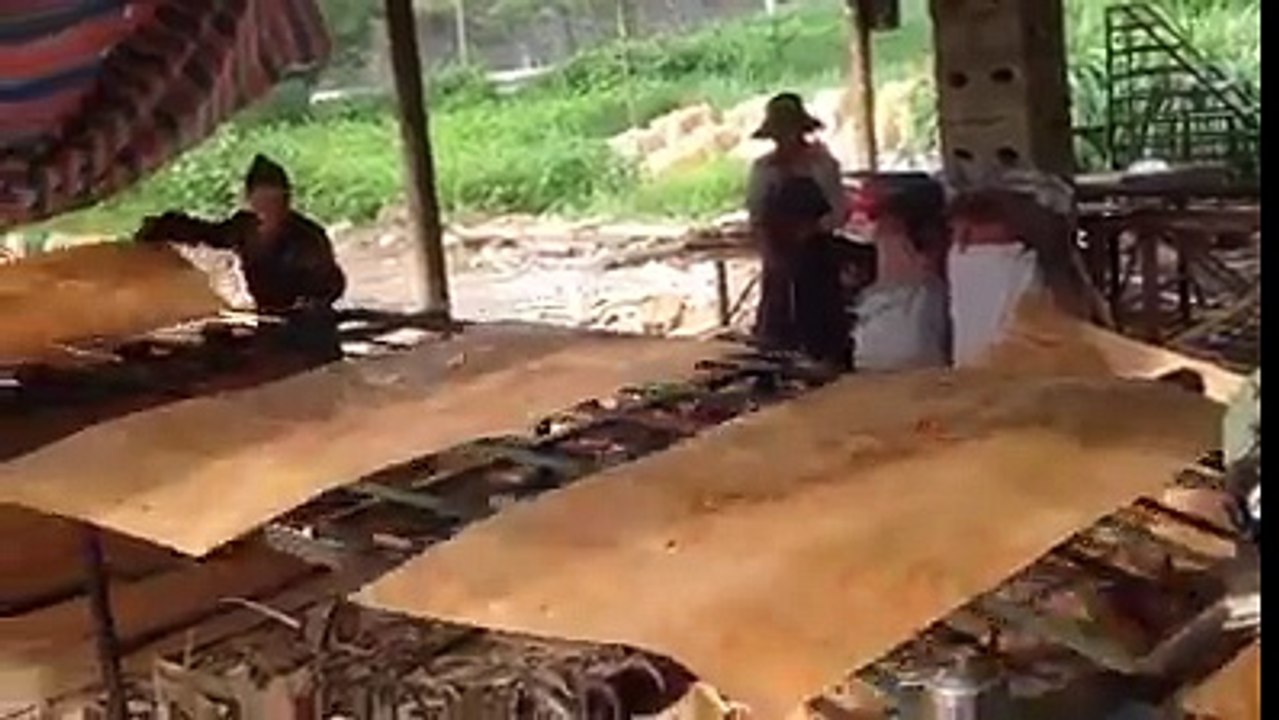 Tree Cutting Technique