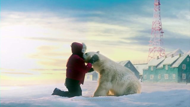 Белый медведь. ТВ-ролик 30 секунд