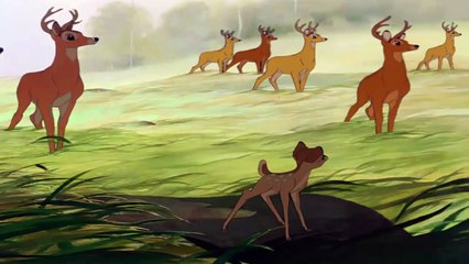Bambi - The Great Prince of the Forest HD