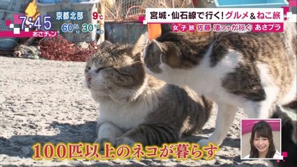 宮城県・船で行くおすすめスポット田代島