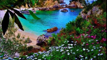 CROCIERA PER SINGLE CROAZIA GRECIA