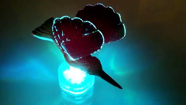 Светящаяся птица. Светящася красная колибри