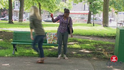 Puppy Gets Stuck in Mouse Trap