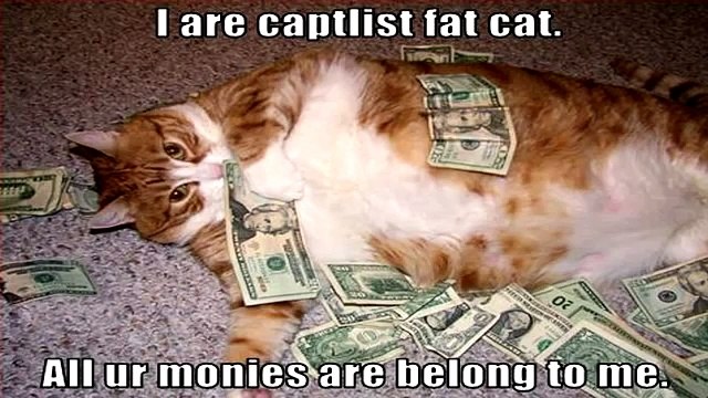 СМЕШНО ТОЛСТЫЕ КОТЫ