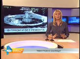 Народный корреспондент- грибы растут в Иркутске прямо в черте города